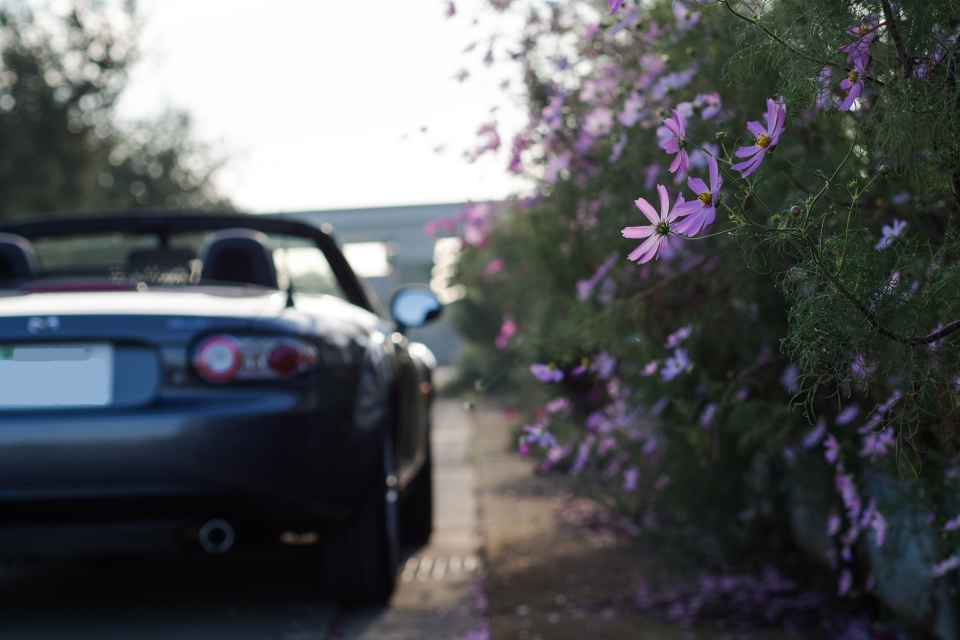 f:id:hisadoi:20151012071307j:image f:id:hisadoi:20151012071307j:image