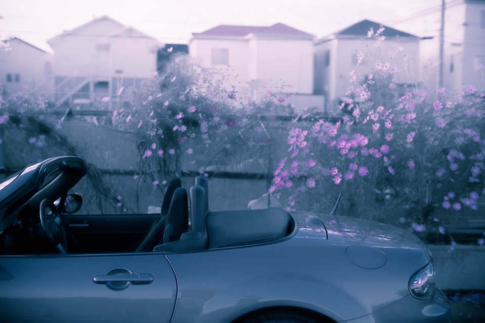 f:id:hisadoi:20151012071534j:image f:id:hisadoi:20151012071534j:image