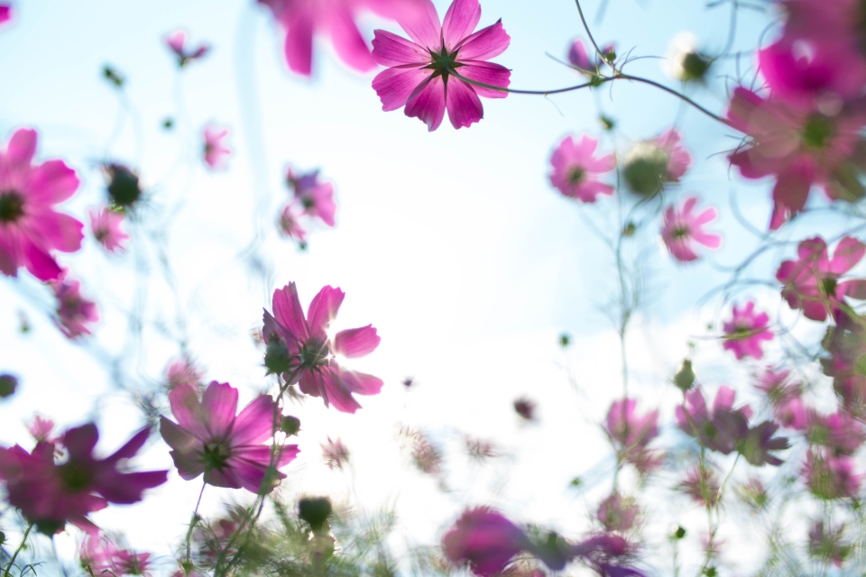 f:id:hisadoi:20151012074806j:image f:id:hisadoi:20151012074806j:image