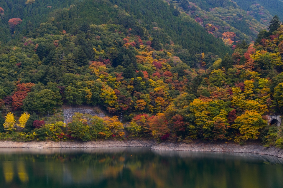 f:id:hisadoi:20151031080319j:image