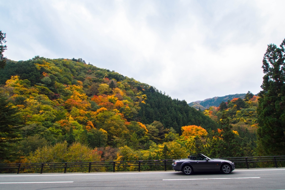 f:id:hisadoi:20151031084429j:image