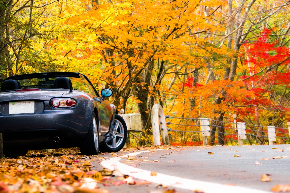 f:id:hisadoi:20151031094933j:image