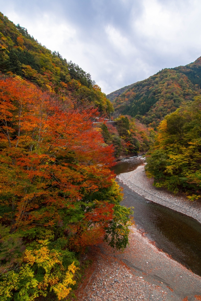 f:id:hisadoi:20151031104137j:image