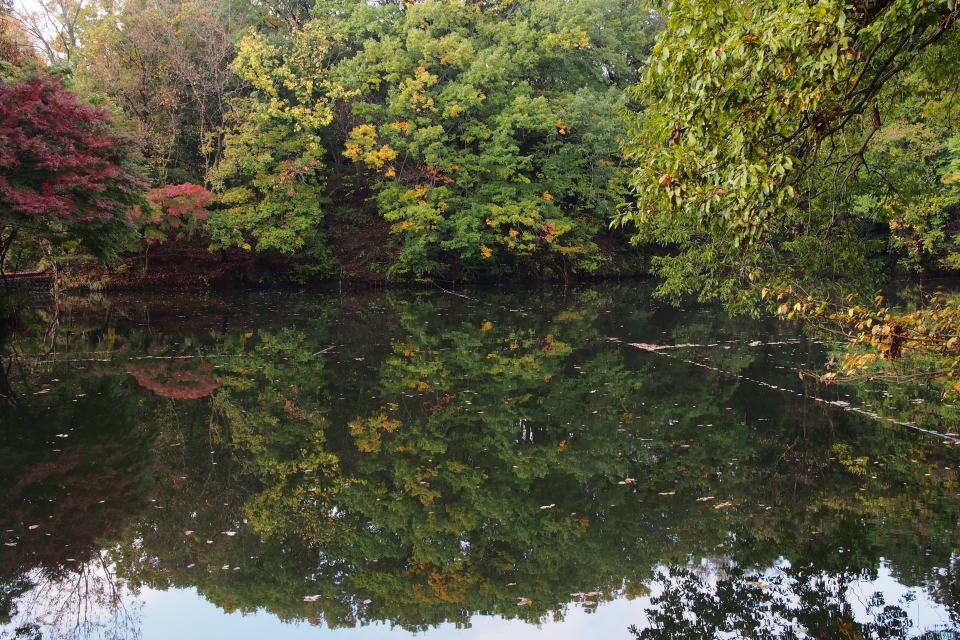 f:id:hisadoi:20151116073919j:image