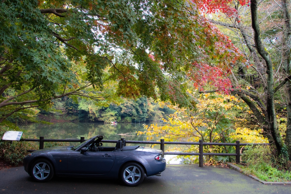 f:id:hisadoi:20151116091146j:image