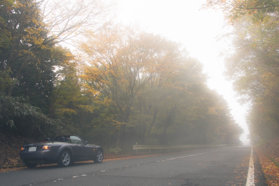 f:id:hisadoi:20151116102905j:image