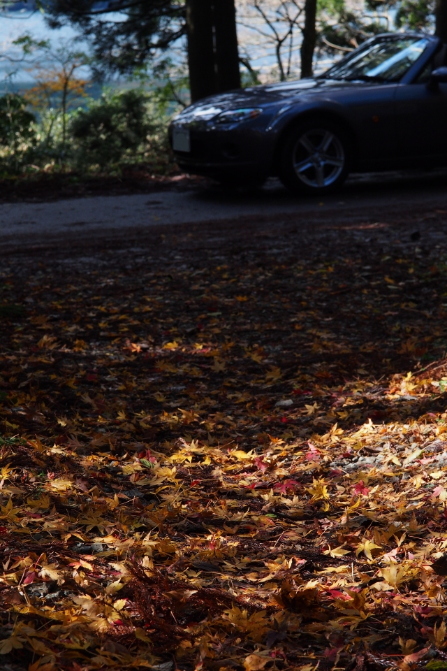 f:id:hisadoi:20151116115844j:image