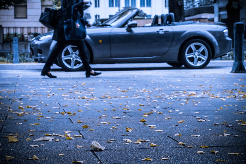 f:id:hisadoi:20151122072634j:image f:id:hisadoi:20151122072634j:image