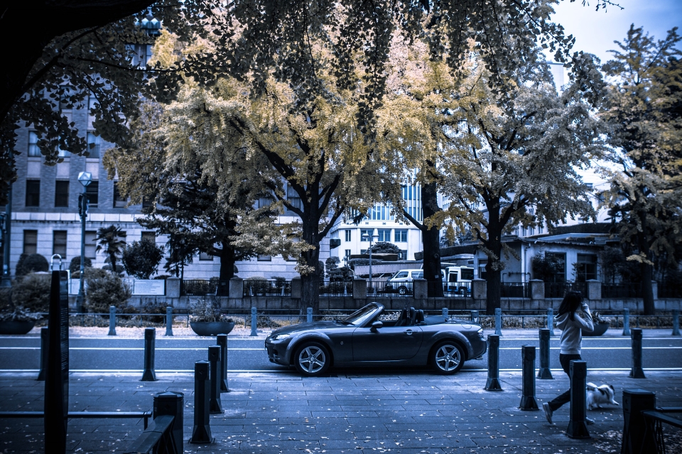 f:id:hisadoi:20151122072801j:image f:id:hisadoi:20151122072801j:image