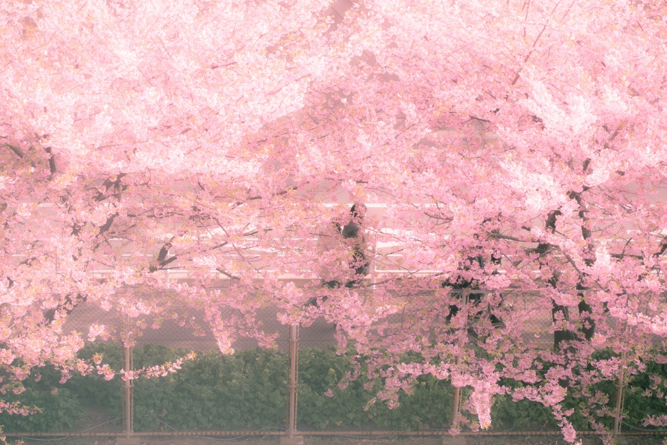 f:id:hisadoi:20160228152054j:image