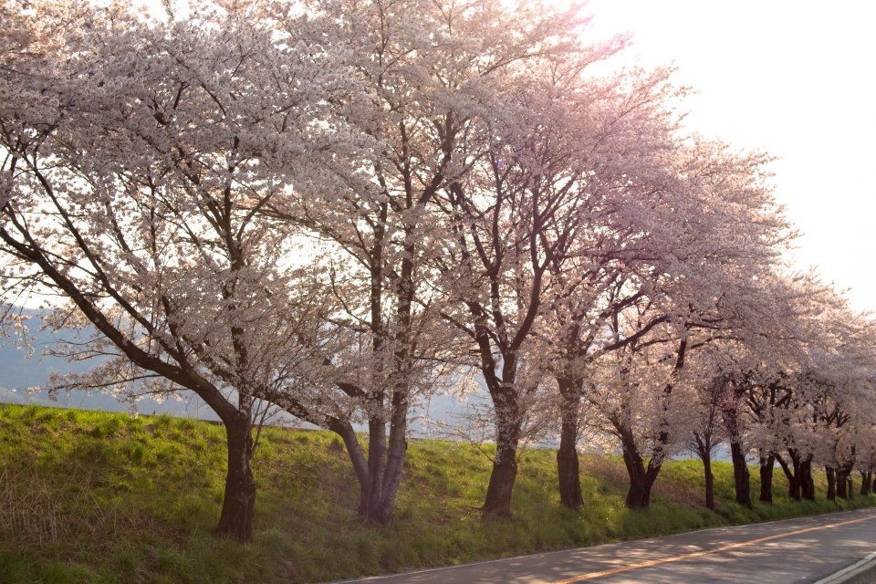 f:id:hisadoi:20160416072256j:image f:id:hisadoi:20160416072256j:image