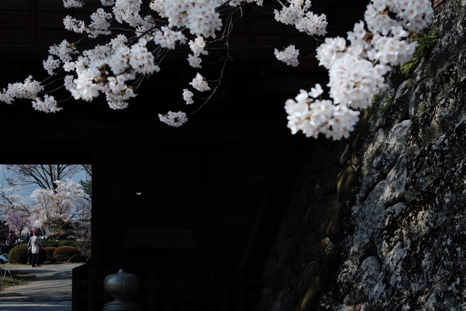 f:id:hisadoi:20160416081927j:image f:id:hisadoi:20160416081927j:image