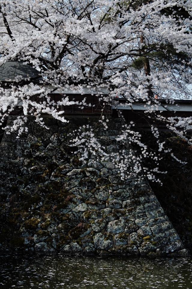 f:id:hisadoi:20160416082453j:image f:id:hisadoi:20160416082453j:image