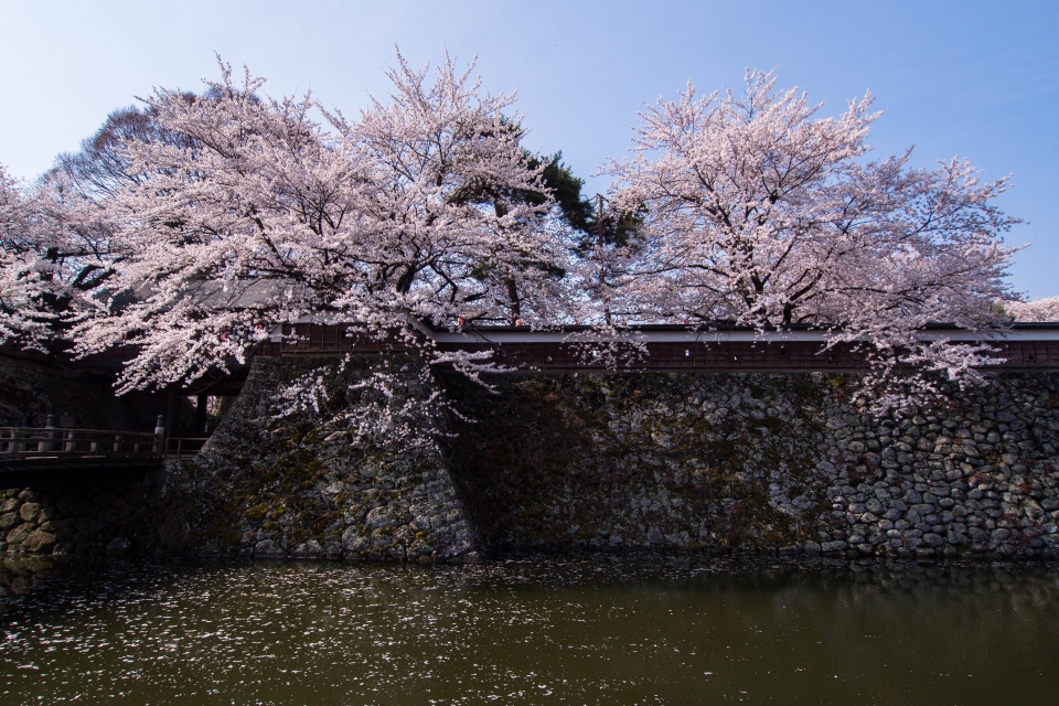 f:id:hisadoi:20160416082642j:image f:id:hisadoi:20160416082642j:image