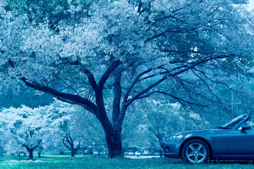 f:id:hisadoi:20160416114026j:image f:id:hisadoi:20160416114026j:image