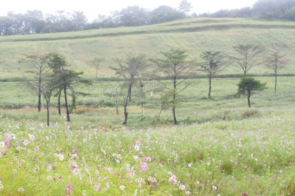 f:id:hisadoi:20160924070753j:image