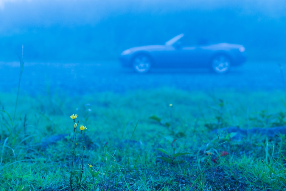 f:id:hisadoi:20161002152343j:image f:id:hisadoi:20161002152343j:image