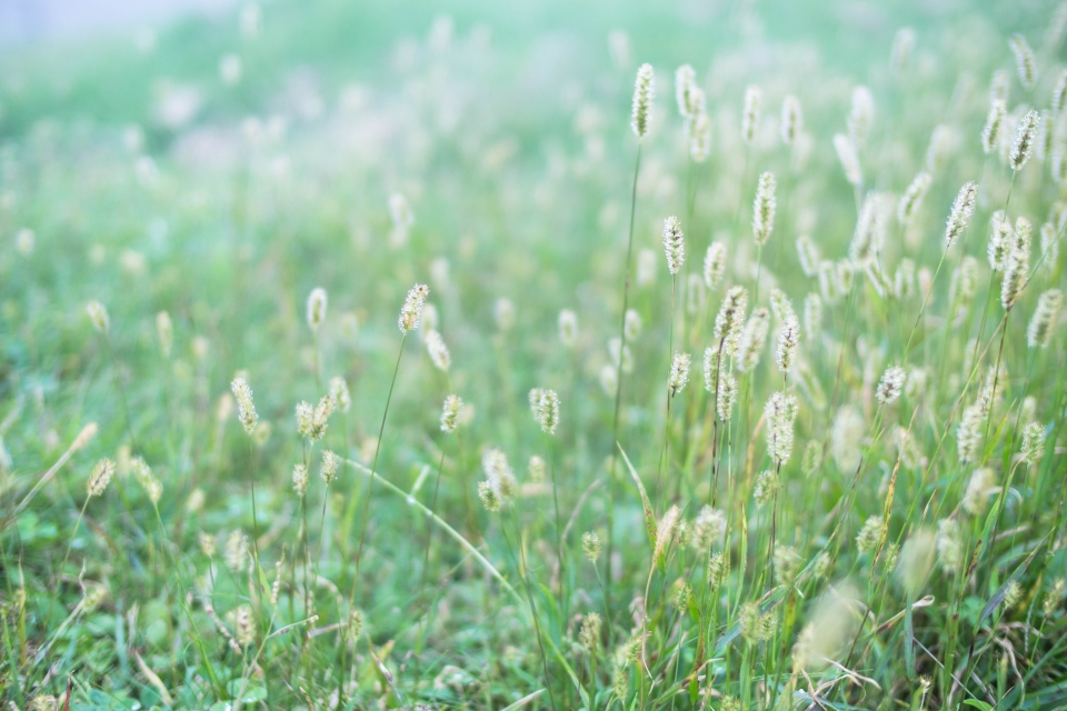 f:id:hisadoi:20161002154332j:image f:id:hisadoi:20161002154332j:image