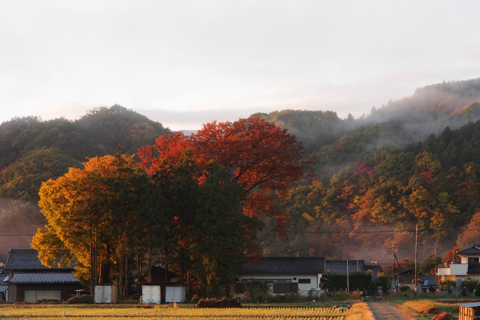 f:id:hisadoi:20161112063519j:image