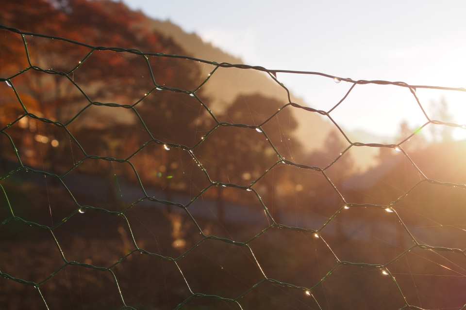 f:id:hisadoi:20161112065423j:image