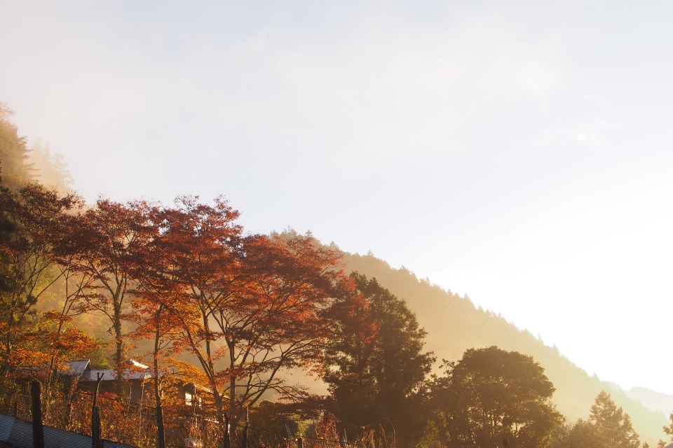 f:id:hisadoi:20161112065440j:image