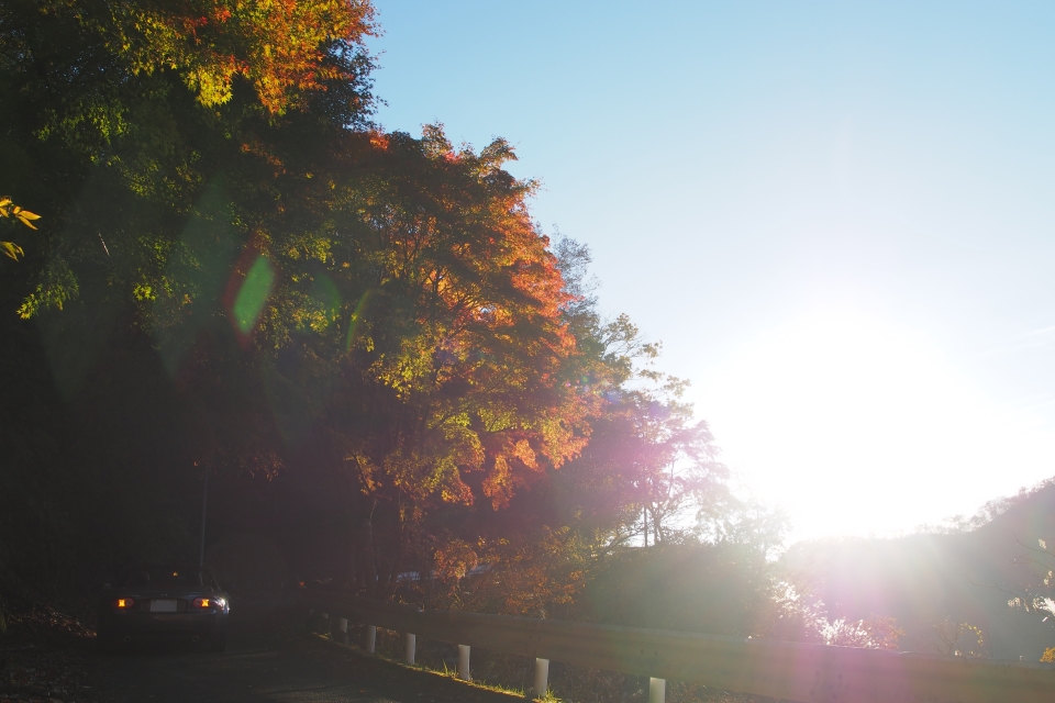 f:id:hisadoi:20161112071547j:image