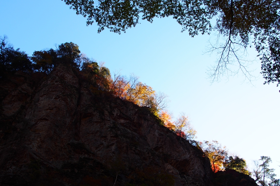 f:id:hisadoi:20161112074307j:image