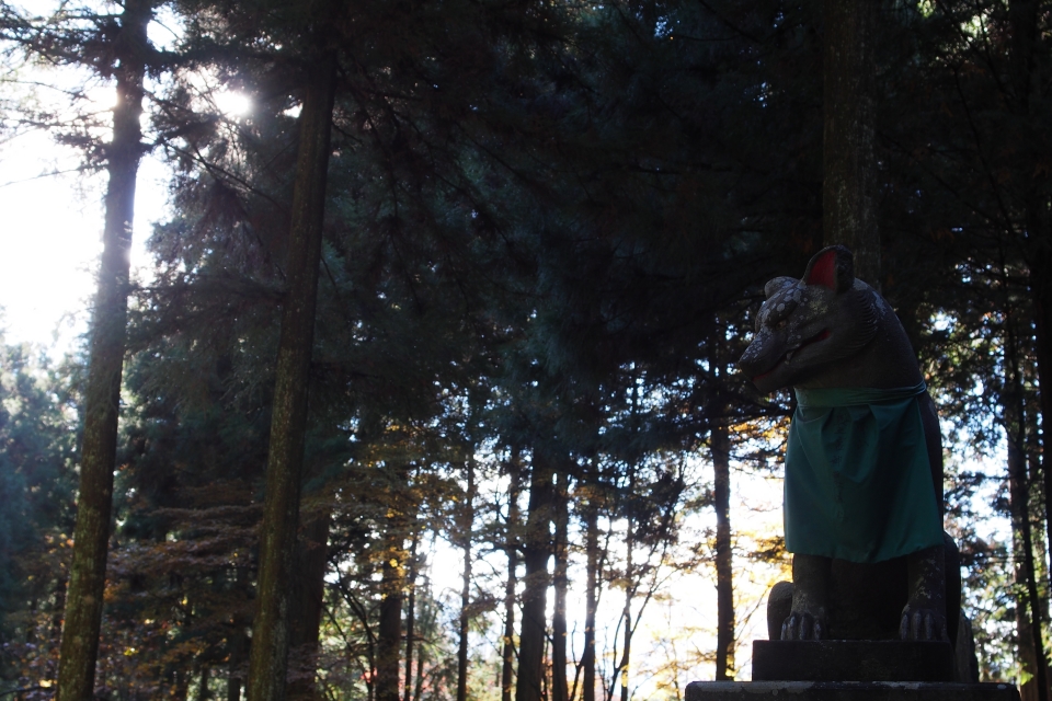 f:id:hisadoi:20161112085606j:image