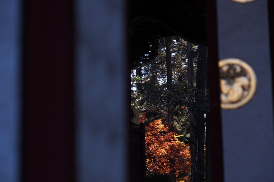 f:id:hisadoi:20161112090330j:image