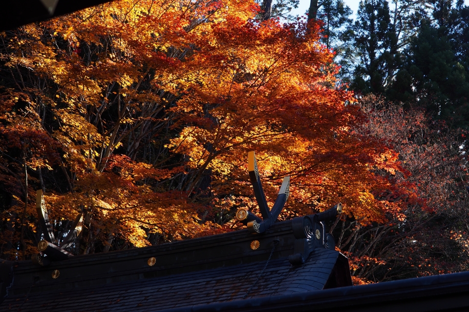 f:id:hisadoi:20161112090418j:image