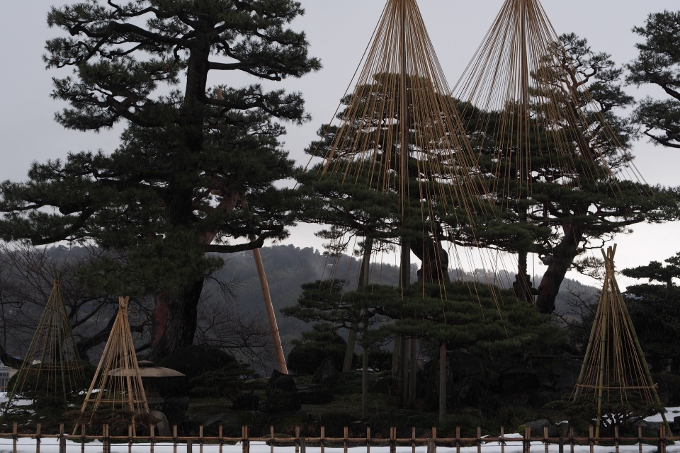 f:id:hisadoi:20170121110257j:image