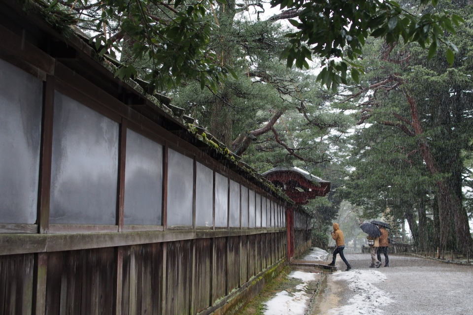 f:id:hisadoi:20170121110827j:image