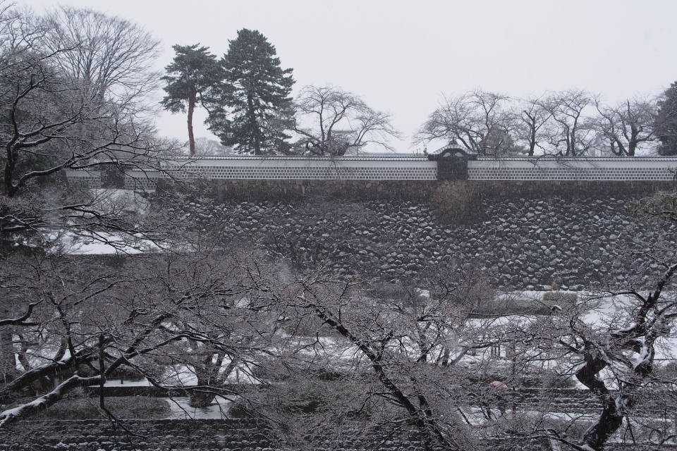 f:id:hisadoi:20170121113404j:image