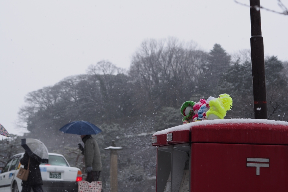 f:id:hisadoi:20170121113524j:image