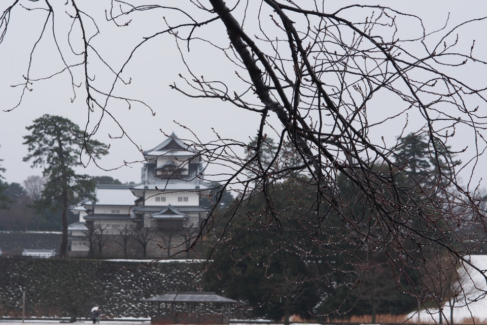 f:id:hisadoi:20170121131710j:image