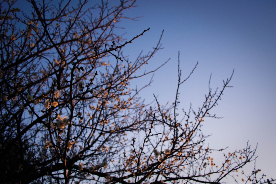 f:id:hisadoi:20170204165338j:image