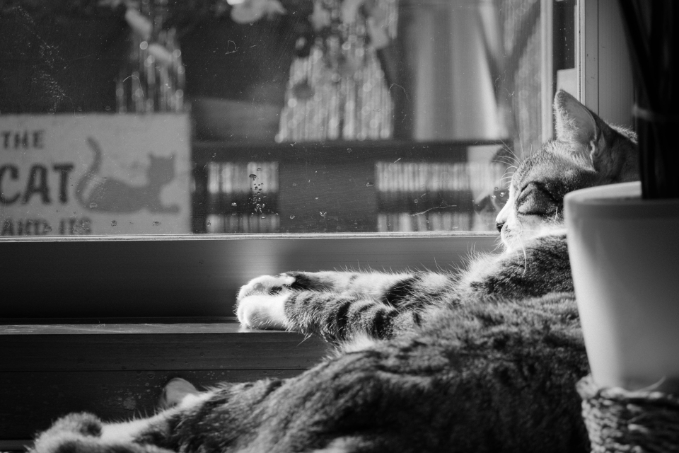 f:id:hisadoi:20170219135607j:image