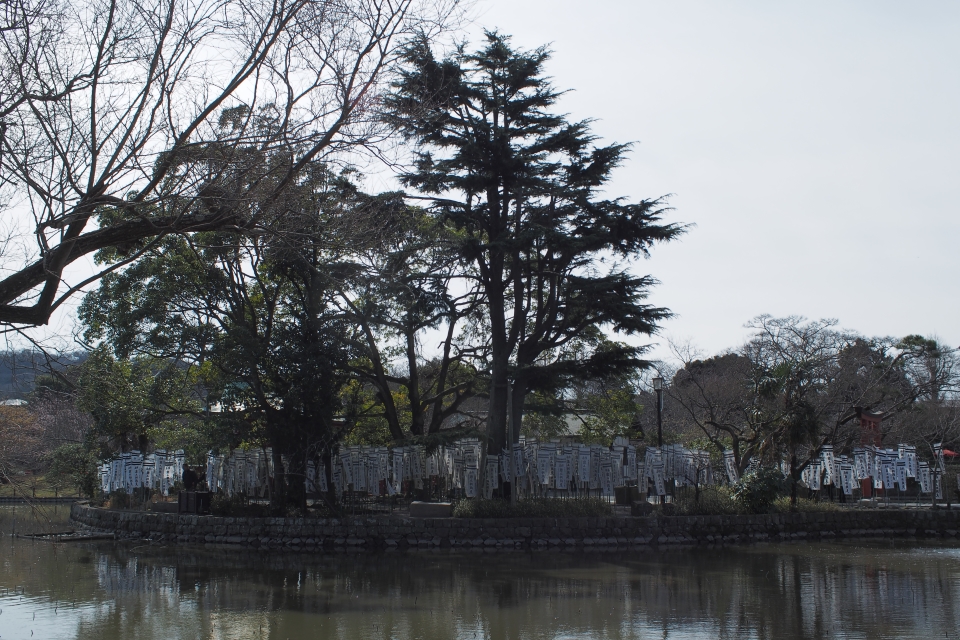 f:id:hisadoi:20170226104155j:image f:id:hisadoi:20170226104155j:image