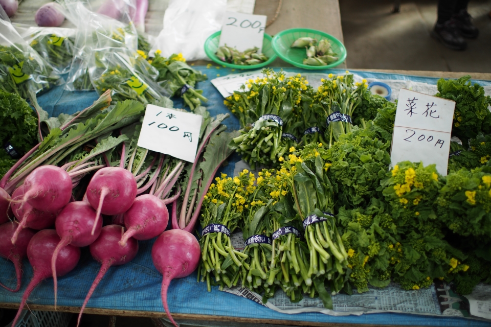 f:id:hisadoi:20170226112627j:image f:id:hisadoi:20170226112627j:image