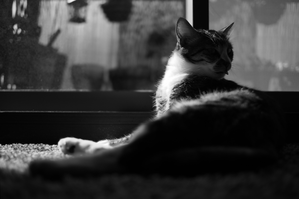 f:id:hisadoi:20170226135304j:image f:id:hisadoi:20170226135304j:image