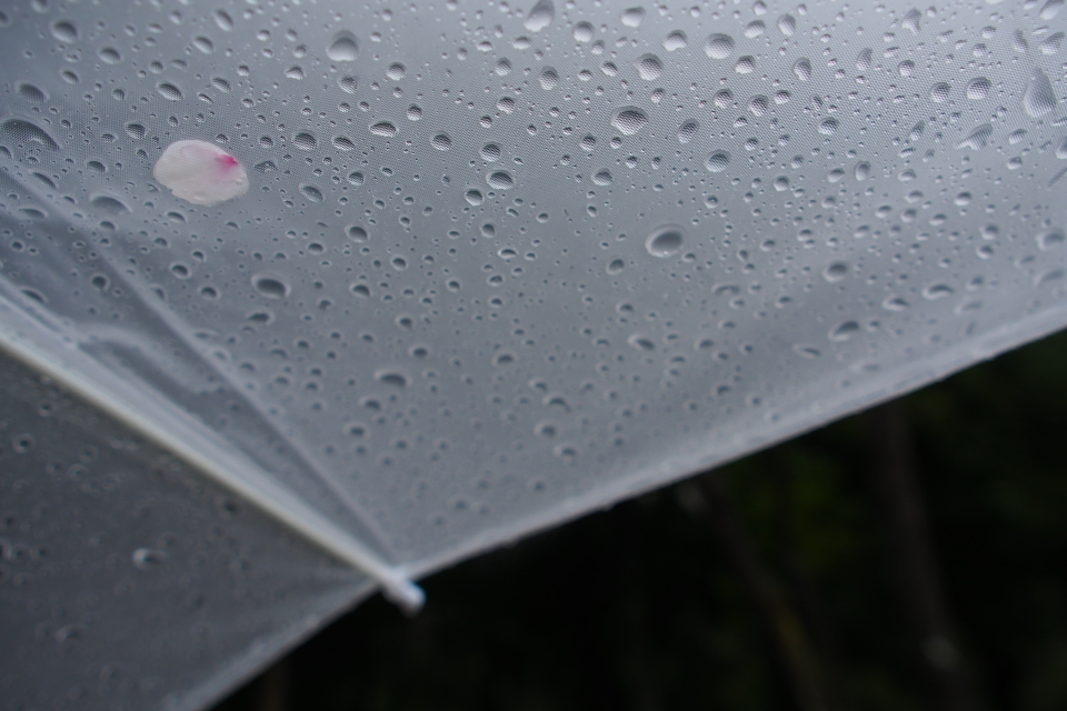 f:id:hisadoi:20170408074723j:image