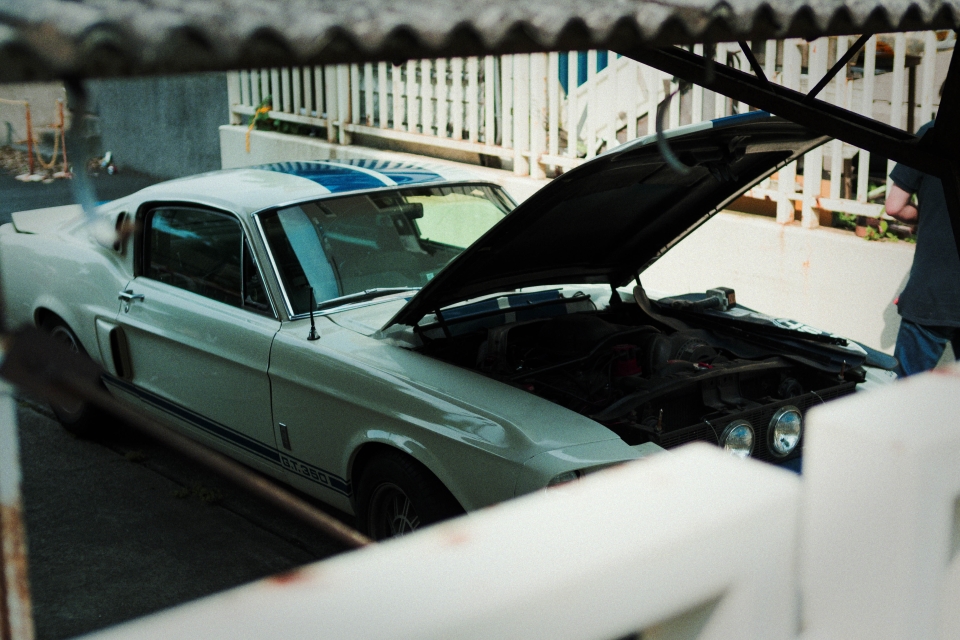 f:id:hisadoi:20170610150919j:image f:id:hisadoi:20170610150919j:image