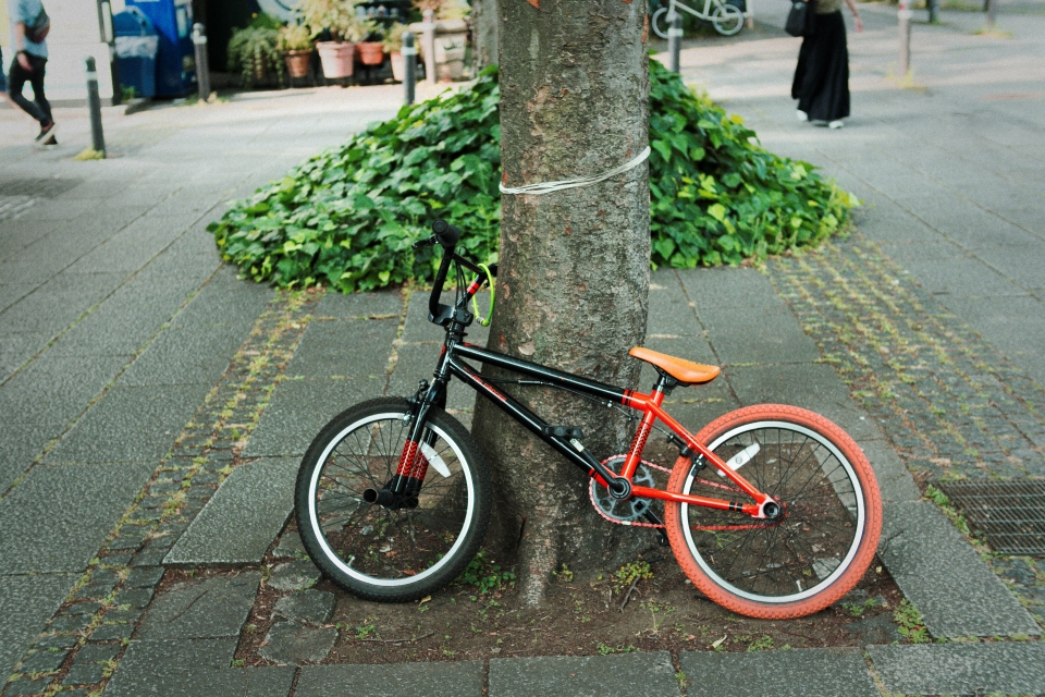 f:id:hisadoi:20170610151206j:image f:id:hisadoi:20170610151206j:image