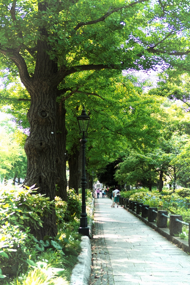 f:id:hisadoi:20170610152009j:image f:id:hisadoi:20170610152009j:image