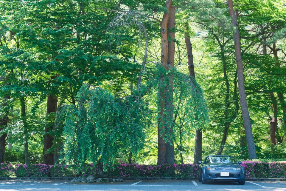 f:id:hisadoi:20170617094748j:image f:id:hisadoi:20170617094748j:image