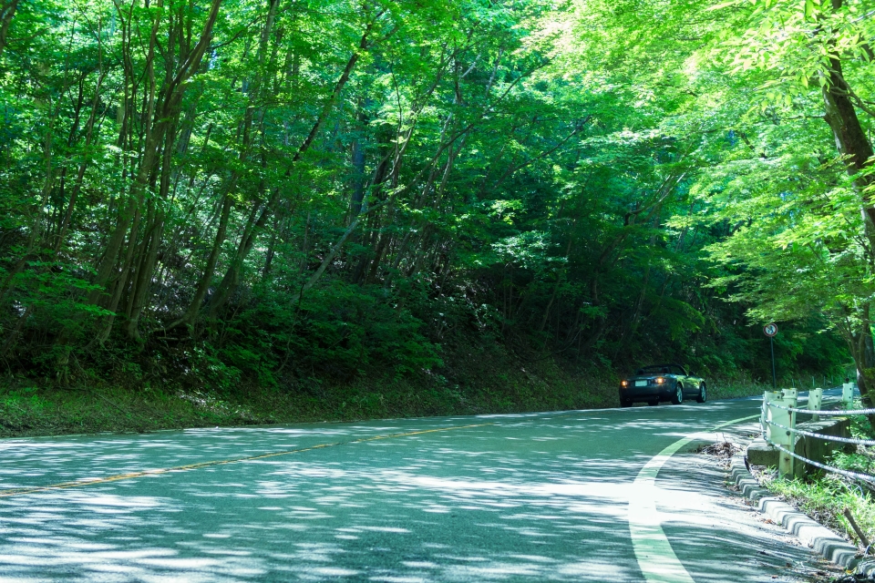 f:id:hisadoi:20170617101700j:image f:id:hisadoi:20170617101700j:image