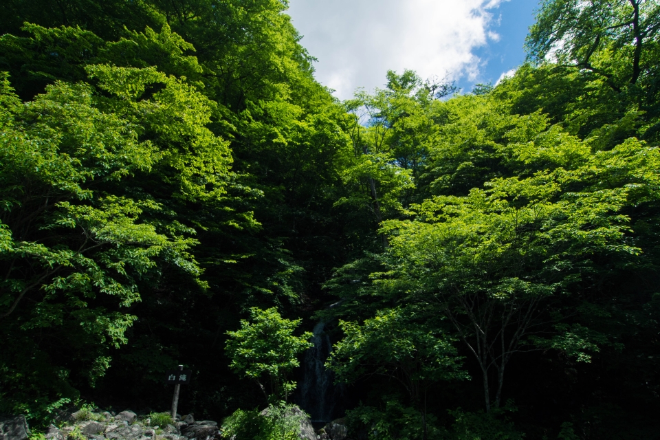 f:id:hisadoi:20170617103217j:image f:id:hisadoi:20170617103217j:image