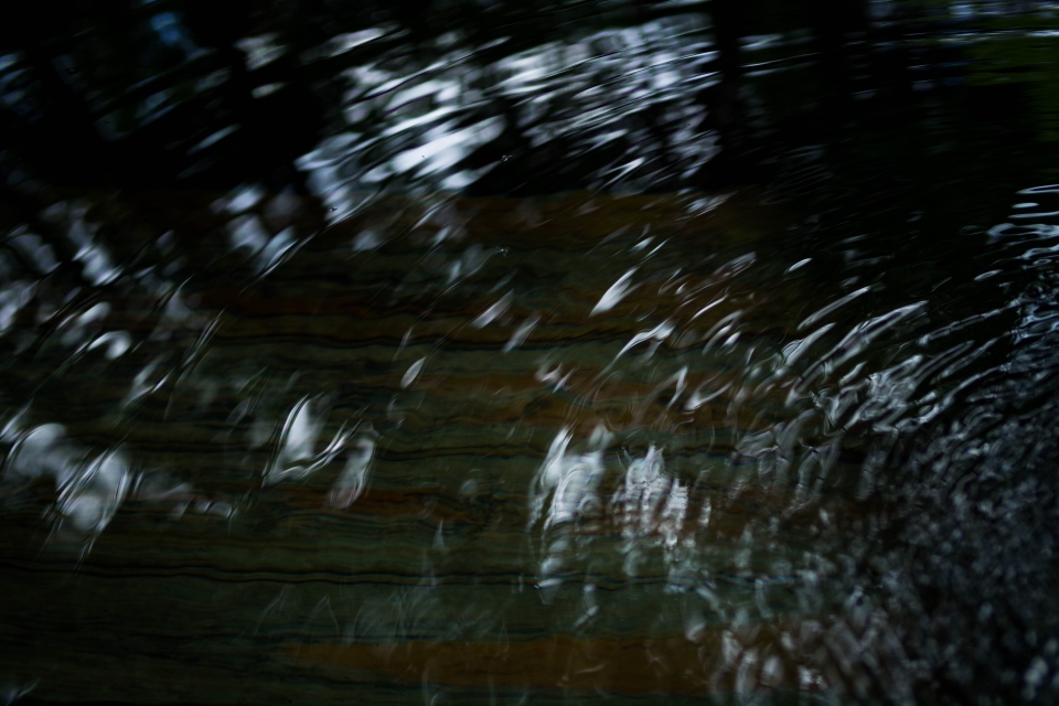 f:id:hisadoi:20170617130734j:image f:id:hisadoi:20170617130734j:image