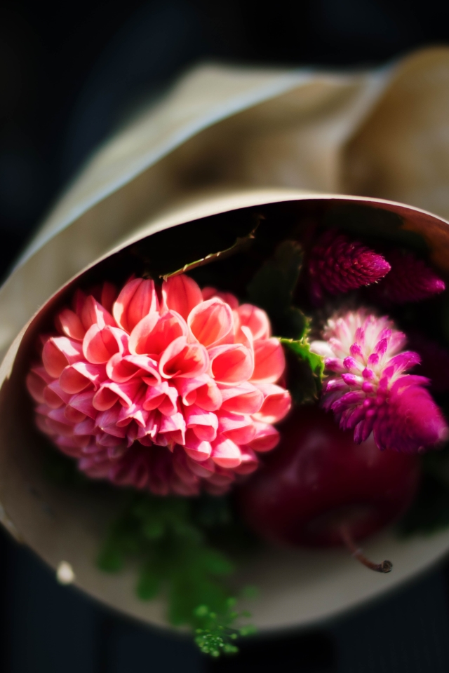 f:id:hisadoi:20170930153110j:image