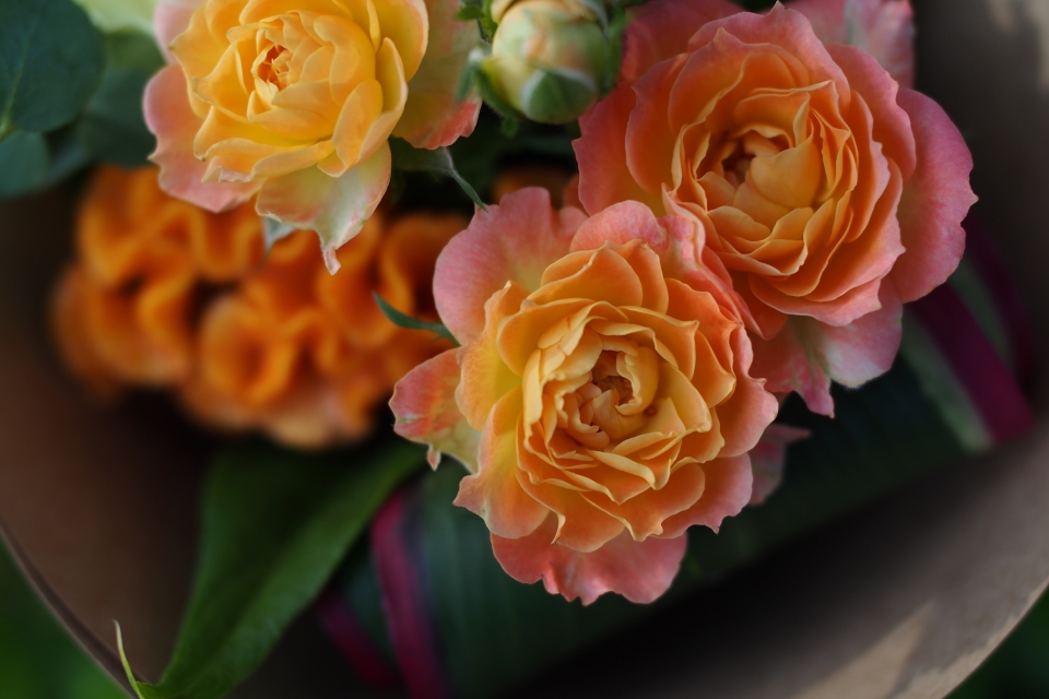 f:id:hisadoi:20170930160313j:image